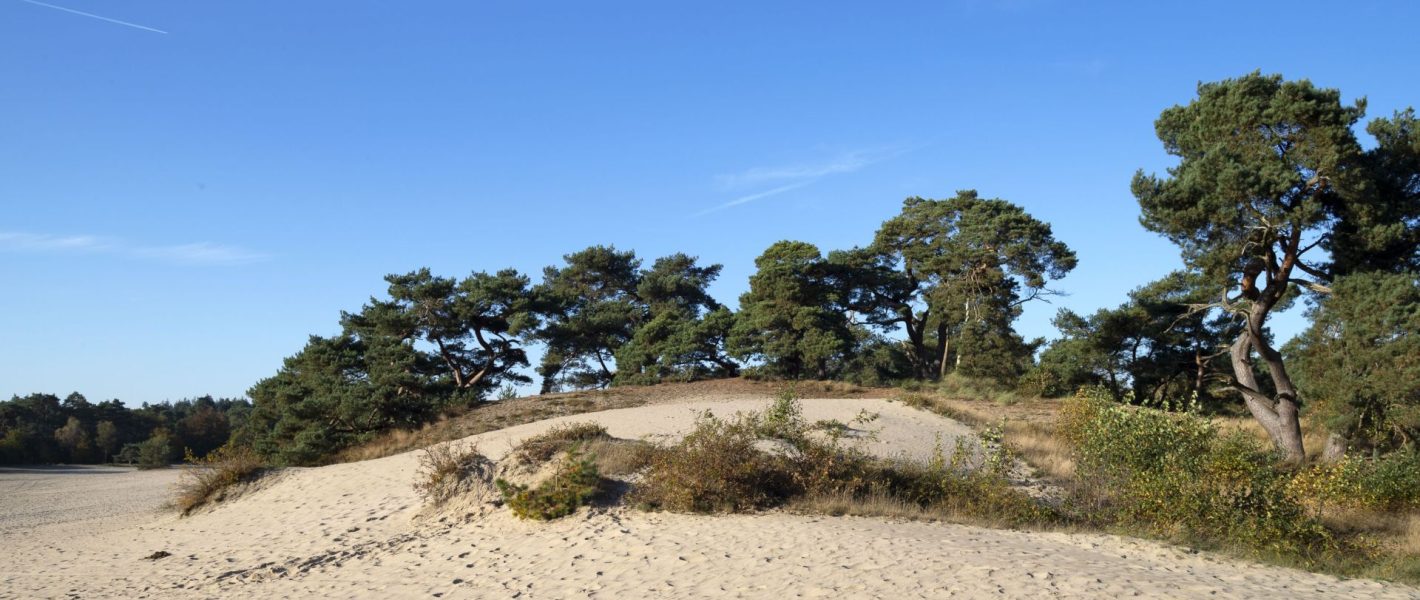 Makelaar soest soesterberg baarn het gooi