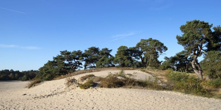 Makelaar soest soesterberg baarn het gooi