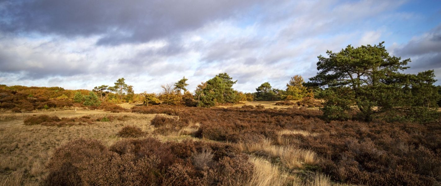 makelaar leusden barneveld achterveld stoutenburg