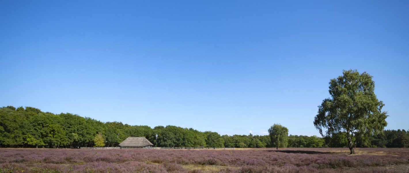 huizen makelaar huis kopen verkopen