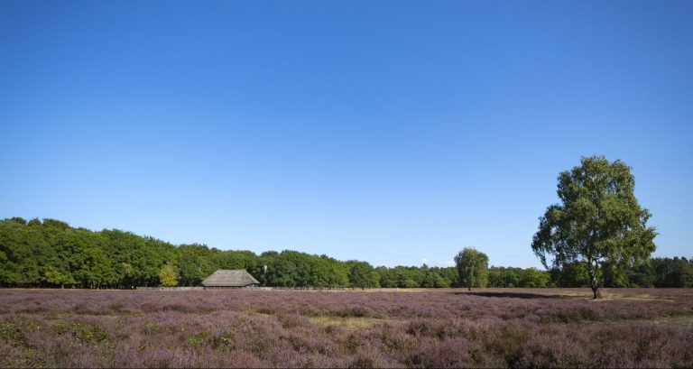 huizen makelaar huis kopen verkopen